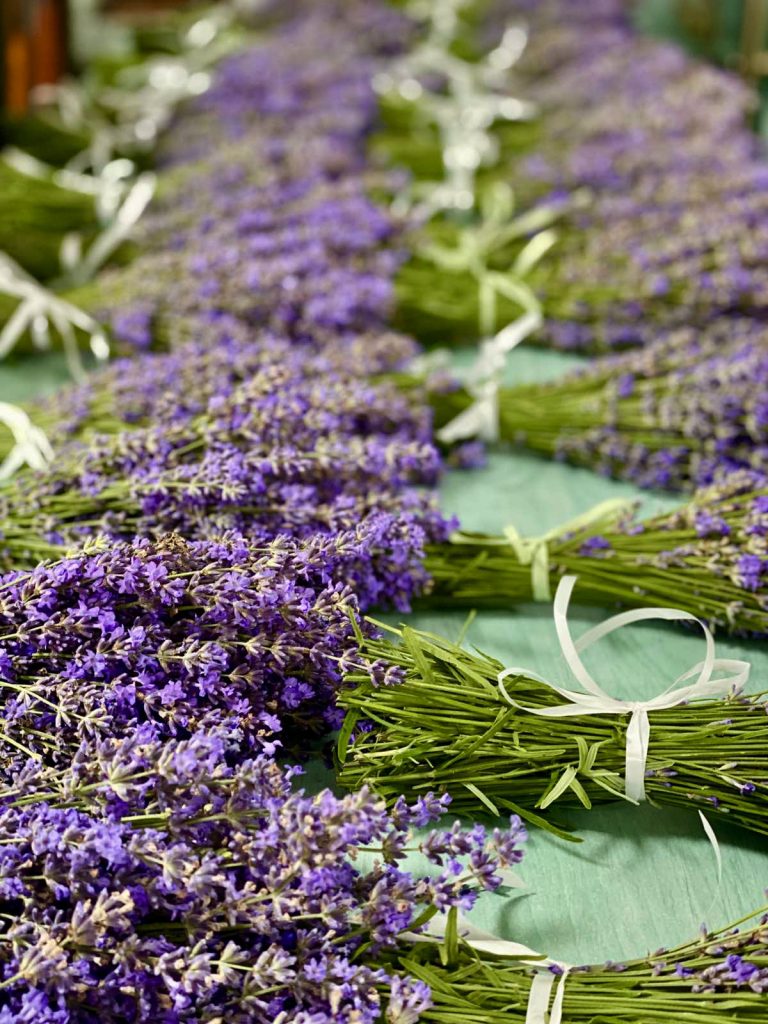 0-02-05-53e3fff7ee01b62c2613bbb419c7bfb8c343d8c0e97169c01a9869269632b2a0_d8fb9841ae50303f