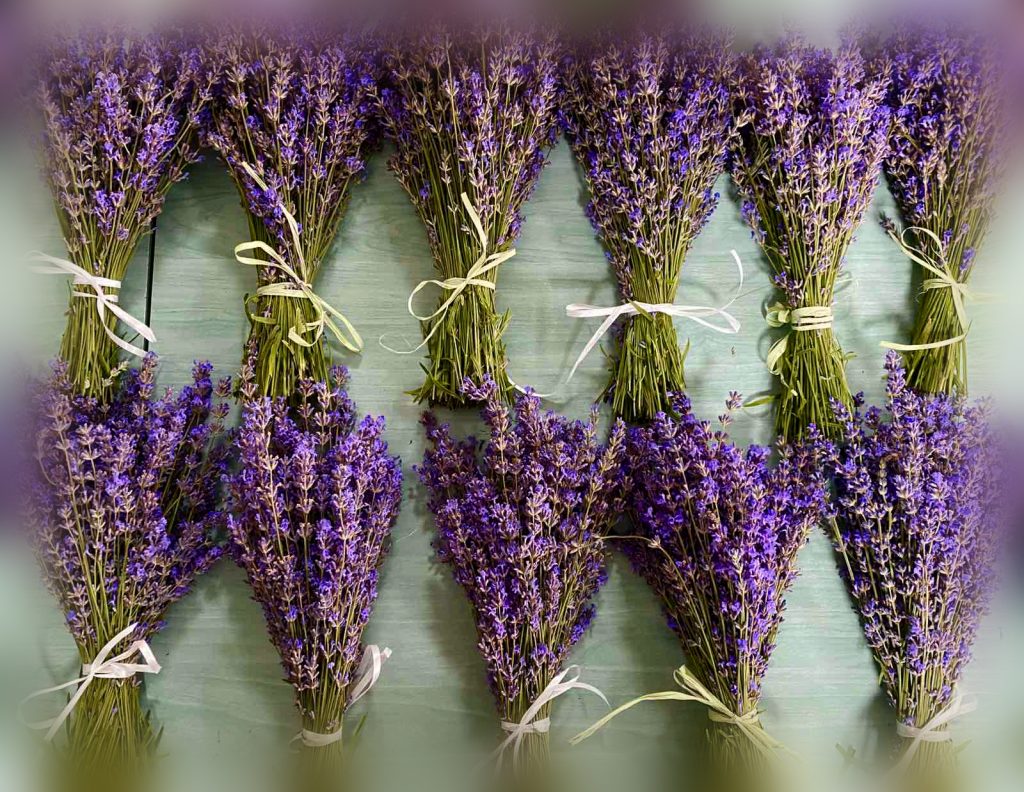 0-02-05-5794c7ab467f9833f1d9afe48b73c449a9c8345c2f36e9deee8dd48471446863_27749d2dbdc1756c