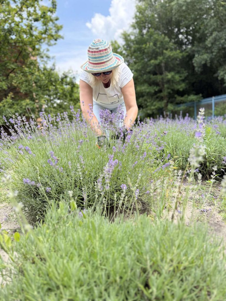 0-02-05-5a1c89d26ca673ae2a36243044a5d9b6b5726bea790ab60c17bee2bb75beae6c_b1e56283259d1a2d