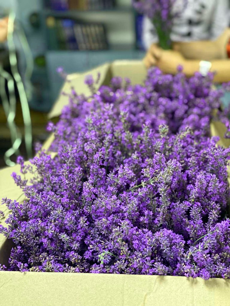 0-02-05-88cd6ff13c4f40def71d9d496e91b17dd58c70954501e230677dc21f7e06804a_c1d412f6e92912b2