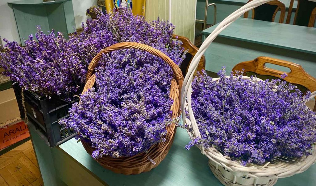 0-02-05-a8d127bba301fd419d1242b212d068775918c300b1bc51731a5adc88d5950920_35716ad7e157536e